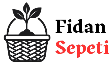 Fidan Sepeti